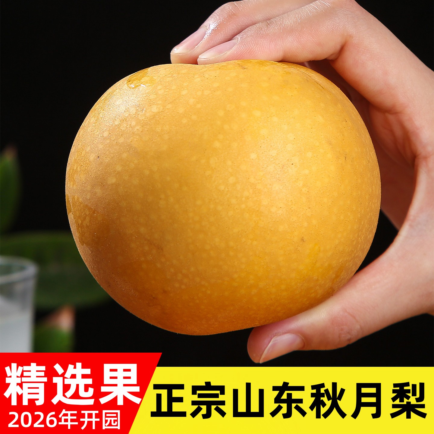 秋月梨山东莱阳鲜蔡家领券下单
