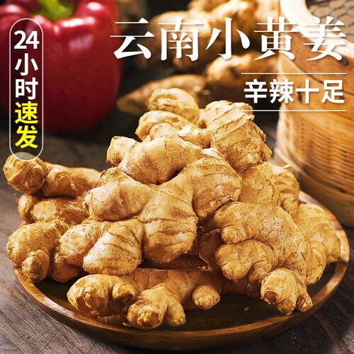 云南喜爱黄江新鲜现挖月子姜