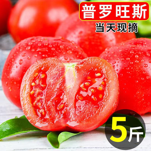 攀枝花西红柿普罗旺斯领券