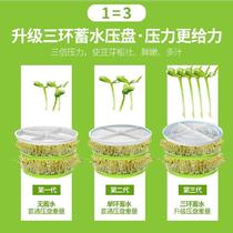 自动洒水绿豆芽新鲜培育自制小型生绿豆芽罐盆温控花生容量商用