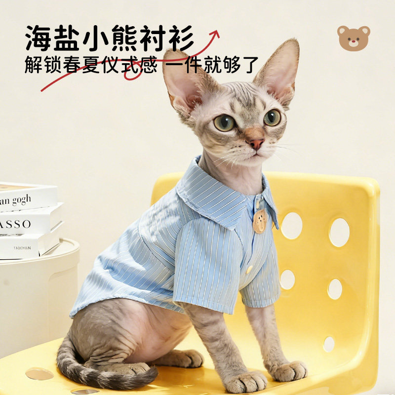 猫咪衣服秋季薄款衬衫可爱德文衣服四季防掉毛防着凉缅因布偶衣服图片