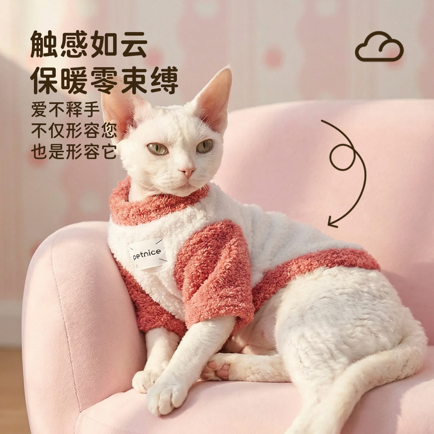 冬季双面云朵绒猫咪衣服小猫德文布偶金渐层宠物服饰保暖加厚冬装,宠物/宠物食品及用品,猫宠物服装/雨衣（新）,淘宝优惠券,粉丝福利购,淘宝优惠卷