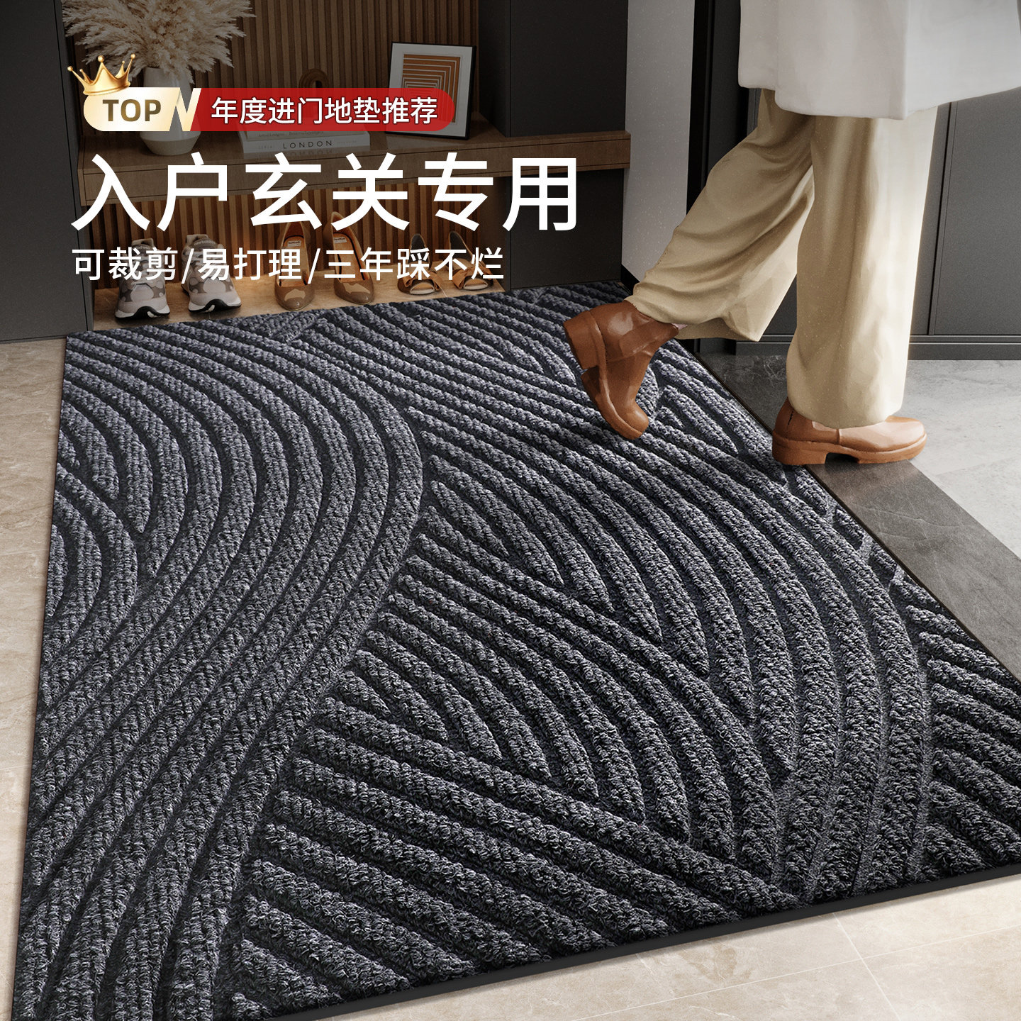 入户门垫室内防滑专用高级感地垫图片