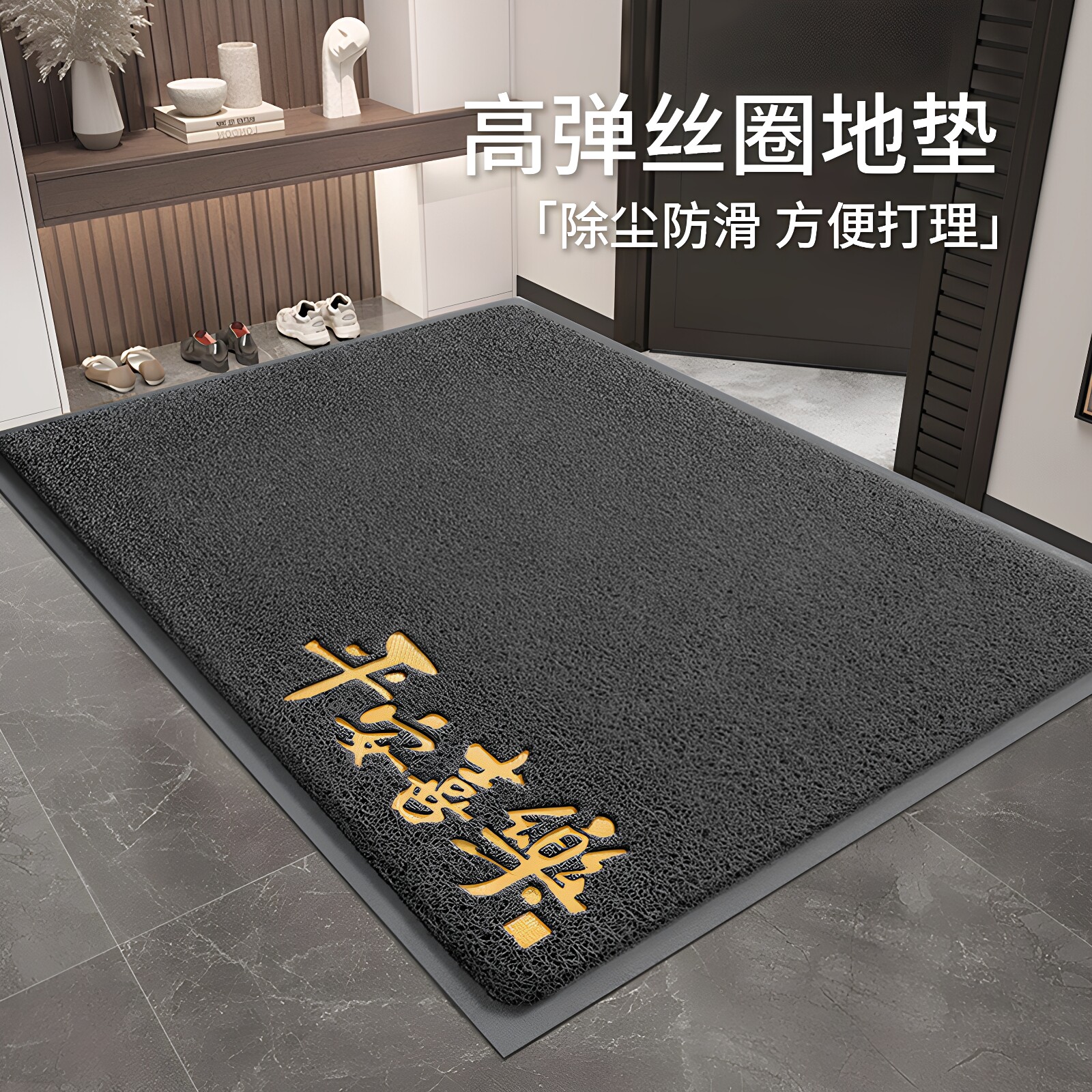 入户门地垫2026新款防滑免洗地毯丝圈脚垫家用进门垫子大门口门垫
