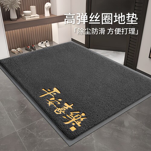 地垫入户门垫丝圈防滑门口地毯