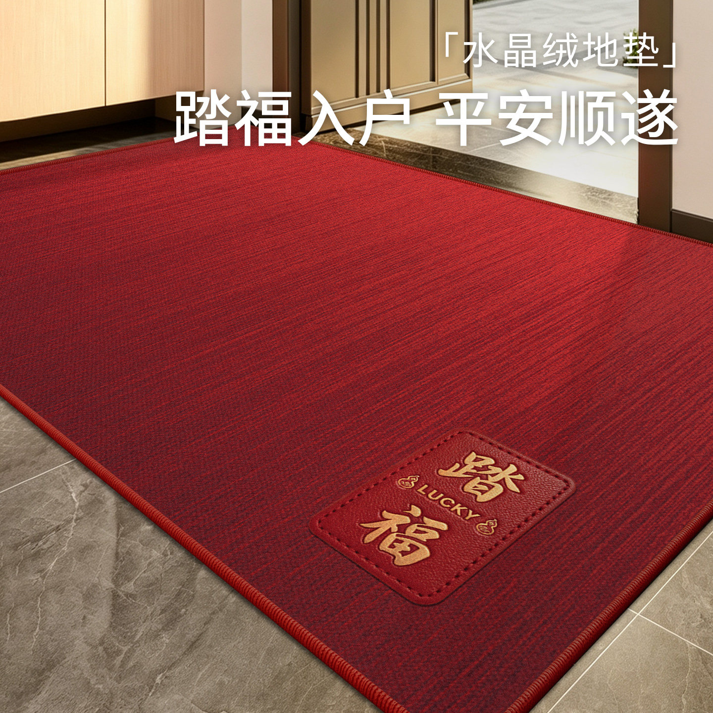 入户门地垫2026新款家用防滑玄关地毯高级感门口门垫进门耐脏脚垫