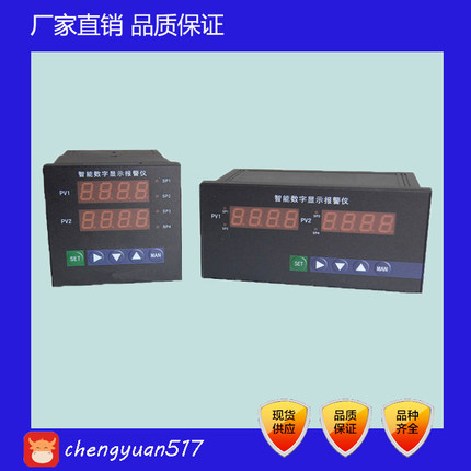 智能数字显示报警仪/双通道数显控制仪/双路数显仪表/160*80