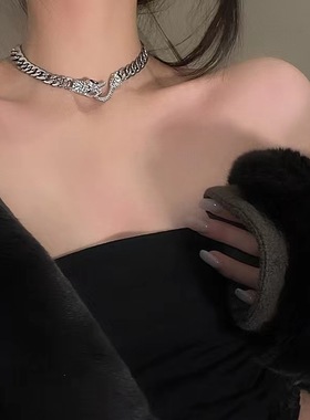 欧美风时尚简约个性镶钻小蛇项链ins风嘻哈潮酷锁骨链女小众项饰