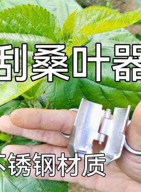刮桑叶机摘桑叶器捡叶器蚕药蚕种蚕茧桑树苗方格簇清理器蚕簇蚕药