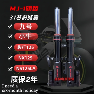 小牛NXNTplay九号E80cn90c裂行