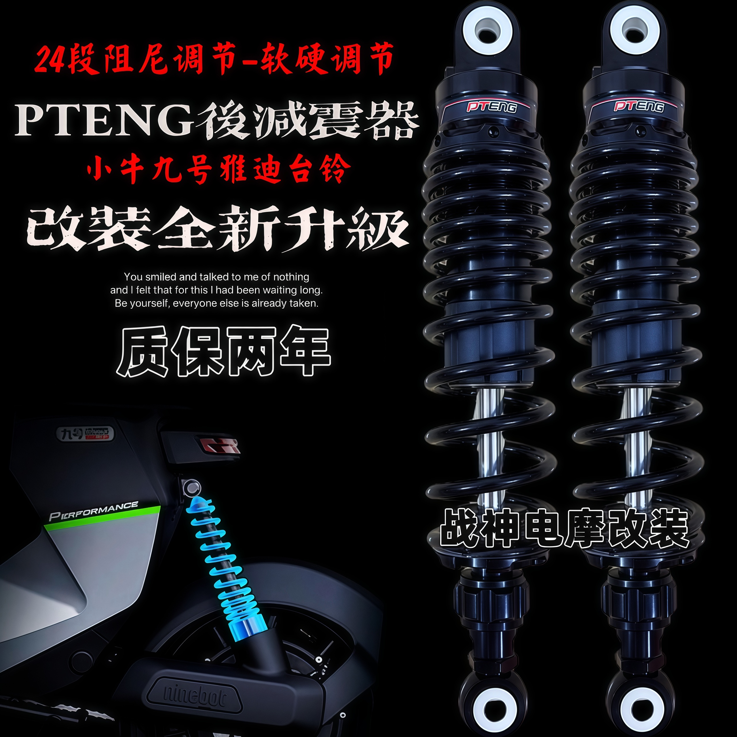 PTENG后减震电动车改装避震图片