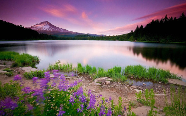 Pantalon collant - Ref 762165 Image 5