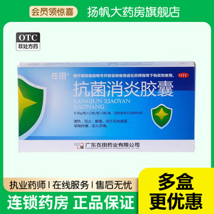 2板 12粒 清热泻火解毒风热感冒实火牙痛 抗菌消炎胶囊0.36g 在田