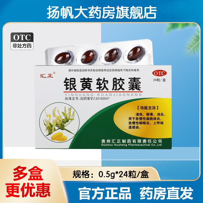 汇正银黄软胶囊0.5克*24片咽喉炎清热解毒消炎嗓子疼上呼吸道感染