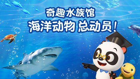 奇趣水族馆 海洋动物总动员 优酷新知 【天猫精灵视频内容】