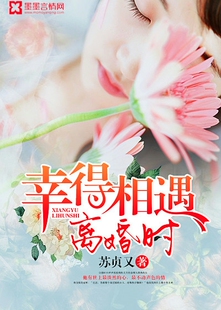 幸得相遇离婚时 非实体书 【天猫精灵有声内容】