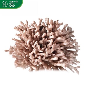 【沁蕊】龙爪菌新鲜 龙爪菇 250g