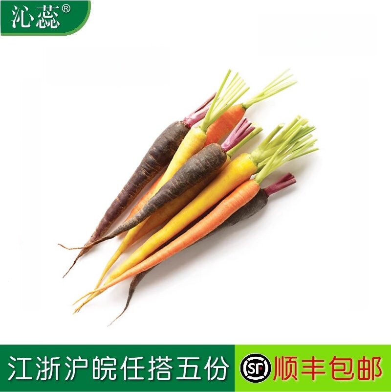 沁蕊新鲜彩色手指胡萝卜