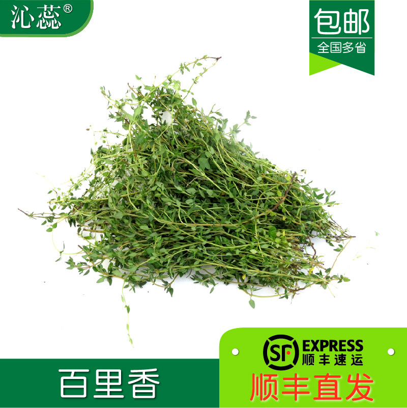 新鲜百里香1斤装多省香草西餐