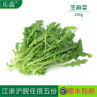【沁蕊】芝麻菜新鲜 多省 包邮 火箭菜 沙拉蔬菜 德国芥菜 250g