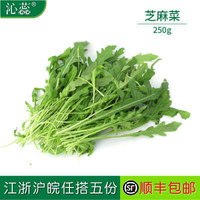 【沁蕊】芝麻菜新鲜 多省 包邮 火箭菜 沙拉蔬菜 德国芥菜 250g