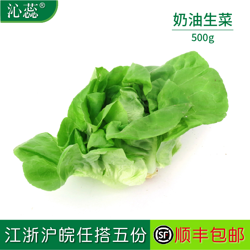【沁蕊】新鲜奶油生菜西餐500g