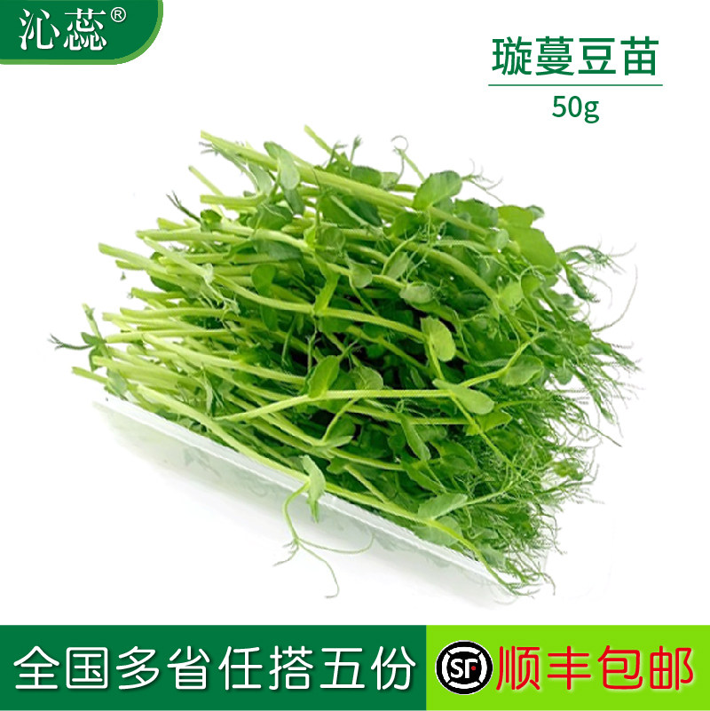 新鲜璇蔓豆苗1盒豌豆苗芽苗菜约50g酒店西餐摆盘装饰日料点缀