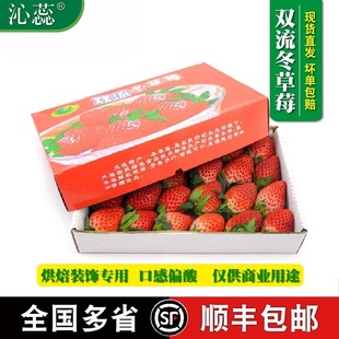 【沁蕊】新鲜草莓供奶茶榨汁蛋糕装饰四季商用双流酸草莓多省包邮