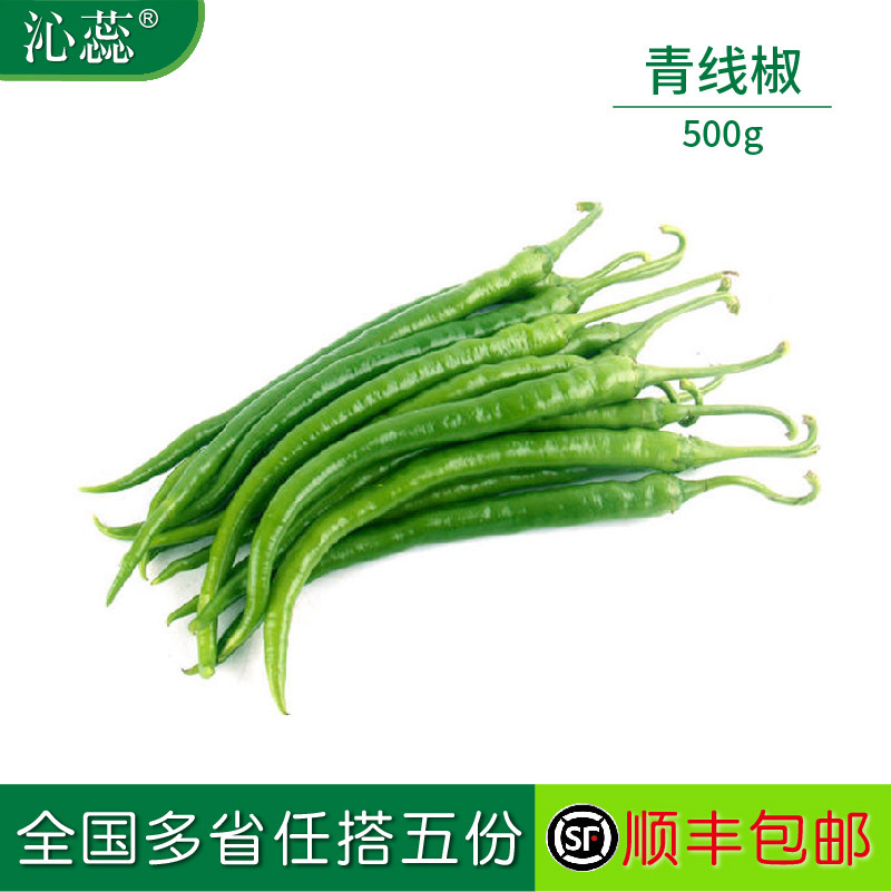 【沁蕊】新鲜青线椒 辣椒 500g