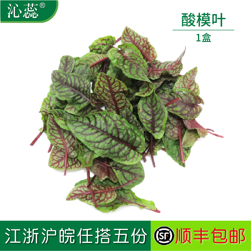 【沁蕊】新鲜酸膜叶 红酸膜草 酸模叶  40片/盒 红脉叶 水产肉类/新鲜蔬果/熟食 其它 原图主图