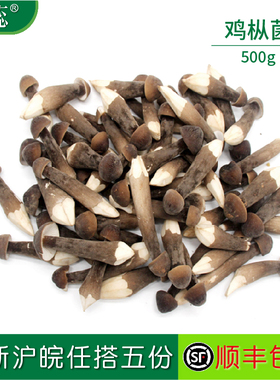 【沁蕊】新鲜菌菇 黑皮鸡枞菌500g 食用鸡棕菇