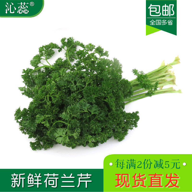 新鲜荷兰芹番西法国香芹欧芹西洋芹西餐厅摆盘装饰用品包邮蔬菜