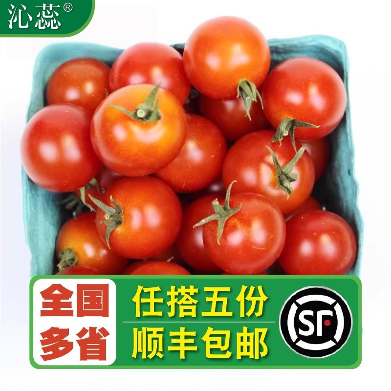 【沁蕊】去枝蒂串番茄500g