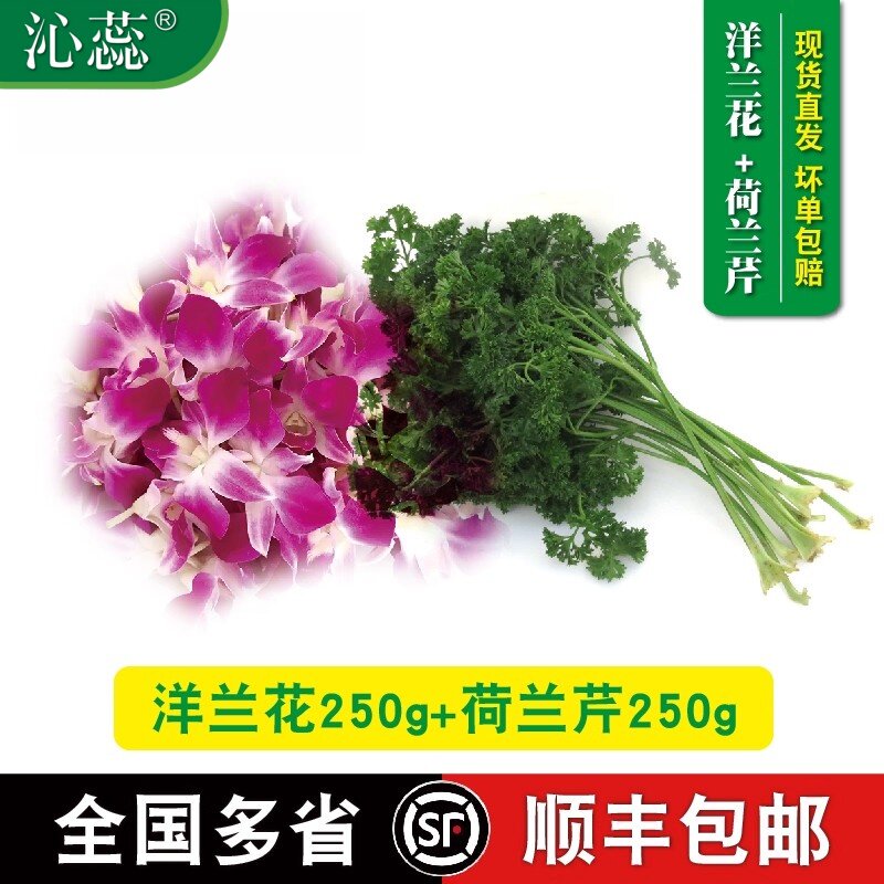 【沁蕊】新鲜杨兰花荷兰芹组合1斤装 多省包邮法香洋兰花酒店火锅