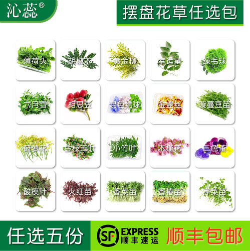 新鲜三色堇摆盘装饰可食用