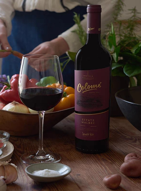 阿根廷高海拔Malbec佳乐美庄园马尔贝克干红葡萄酒2019年份750ml