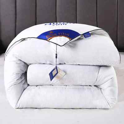 Down All Season Duvet Hotel Quality Warm Quilt Blanket 被子