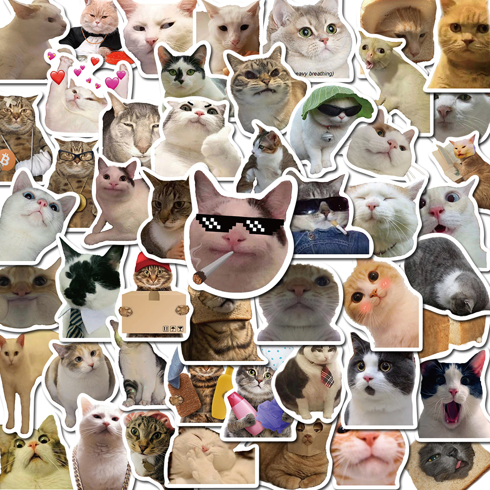 50PCS Cat MEME Funny Animals Stickers Vintage Toy DIY Kids N 文具电教/文化用品/商务用品 贴纸/立体贴纸 原图主图