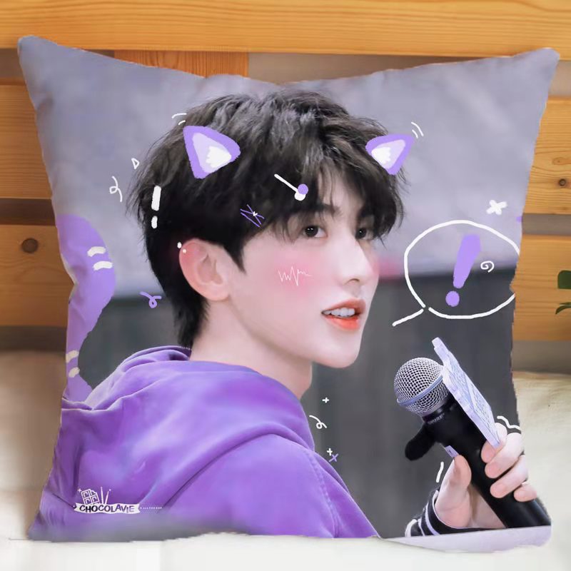 蔡徐坤双面抱枕免费定制送人必选