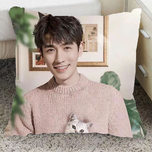 朱一龙周边抱枕双面定制明星应援玩偶卧室床头靠垫公仔送人礼物