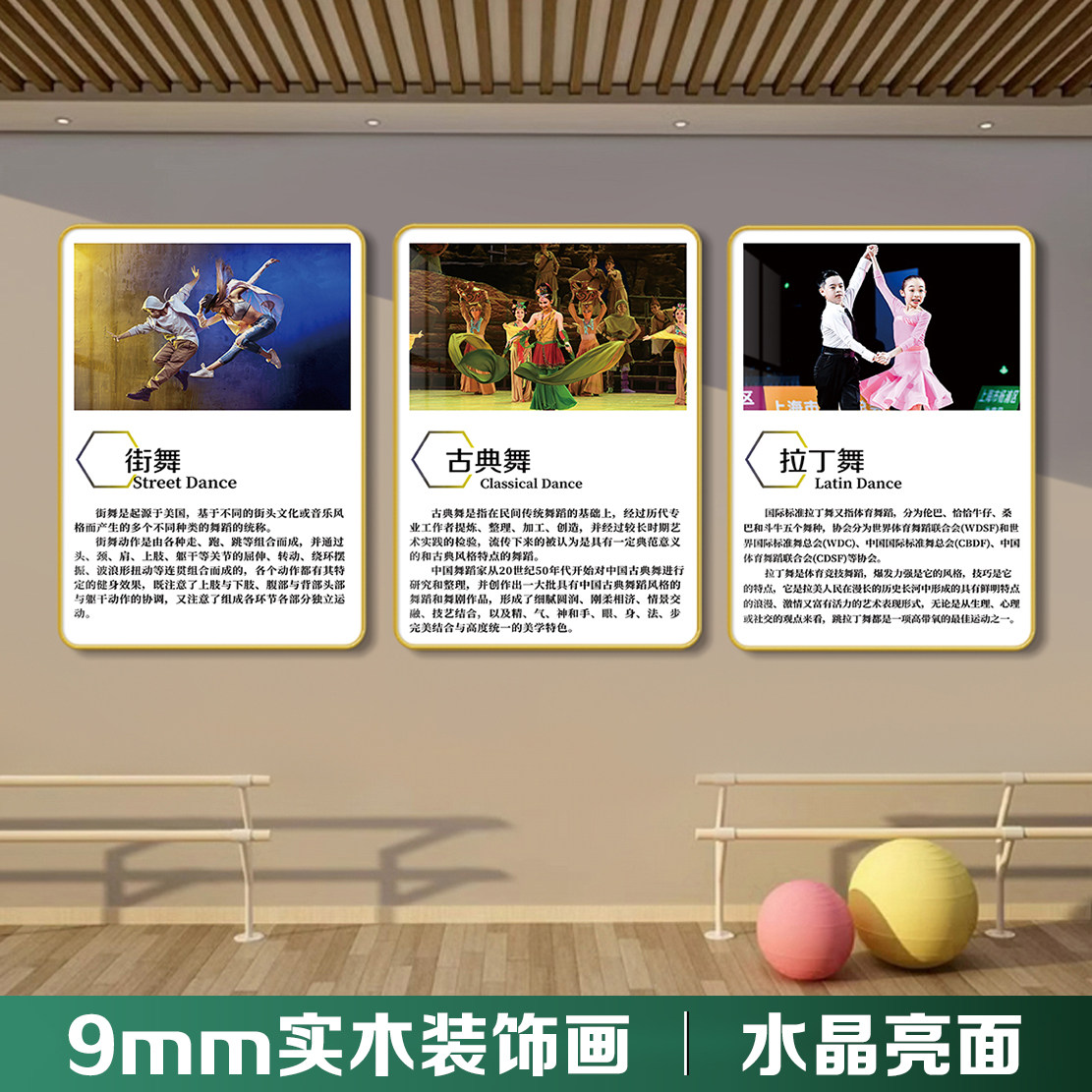 少儿舞蹈艺术舞种简绍布置高档实木板水晶画装饰挂画挂图海报壁画