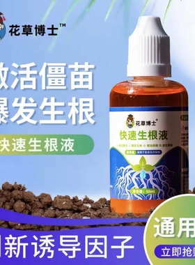 快速生根液粉剂移栽扦插生根水营养液植物通用强力多肉壮苗生根剂