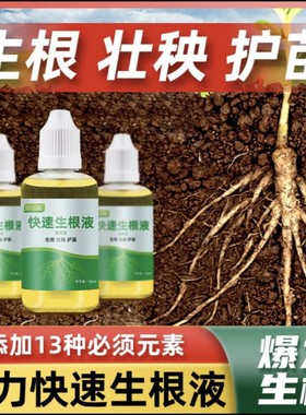 贝可施快速生根液粉剂移栽扦插生根水营养液植物通用强力多肉壮苗