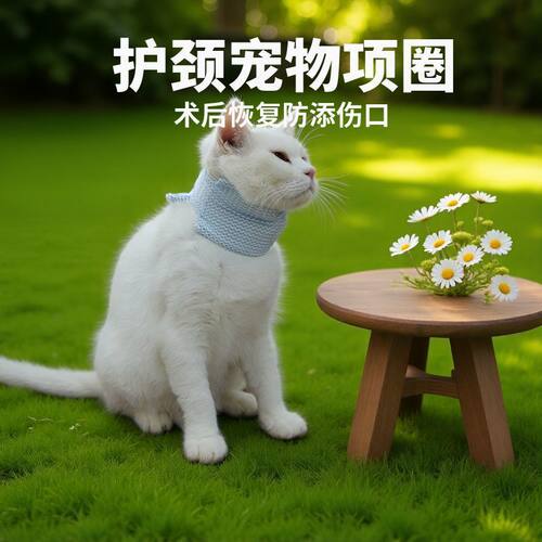伊丽莎白猫咪魔术贴围脖头套防水
