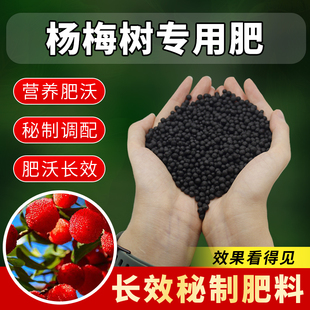 杨梅树专用肥料果树有机复合肥杨梅树肥料坐果膨大保花保果颗粒肥