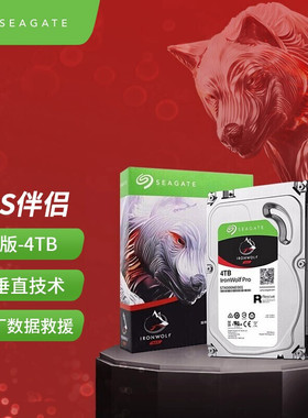 希捷 酷狼PRO4TB ST4000NT001NAS专用 SATA 256MB 7200转垂直技术