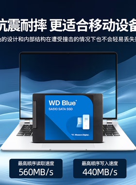 西部数据（WD）笔记本台式机电脑 SSD固态硬盘 SA510 SATA 1T 2T