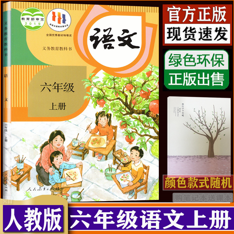 小学六6年级上册语文书人教版教材 小学教材人教部编版义务教育教科书六6年级上学期语文课本教材dxxd（购买笔记本送课本）