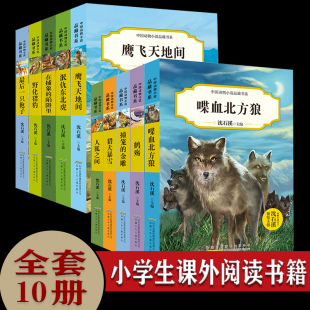 沈石溪动物小说全集全套10册 小学生课外阅读书籍三四年级五六年级书目儿童故事书9 14岁 最后一只狍子狼王梦