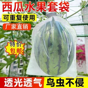 西瓜水果套袋防鸟防虫专用袋冬瓜瓜果透气果袋防果蝇葡萄苦瓜桃子